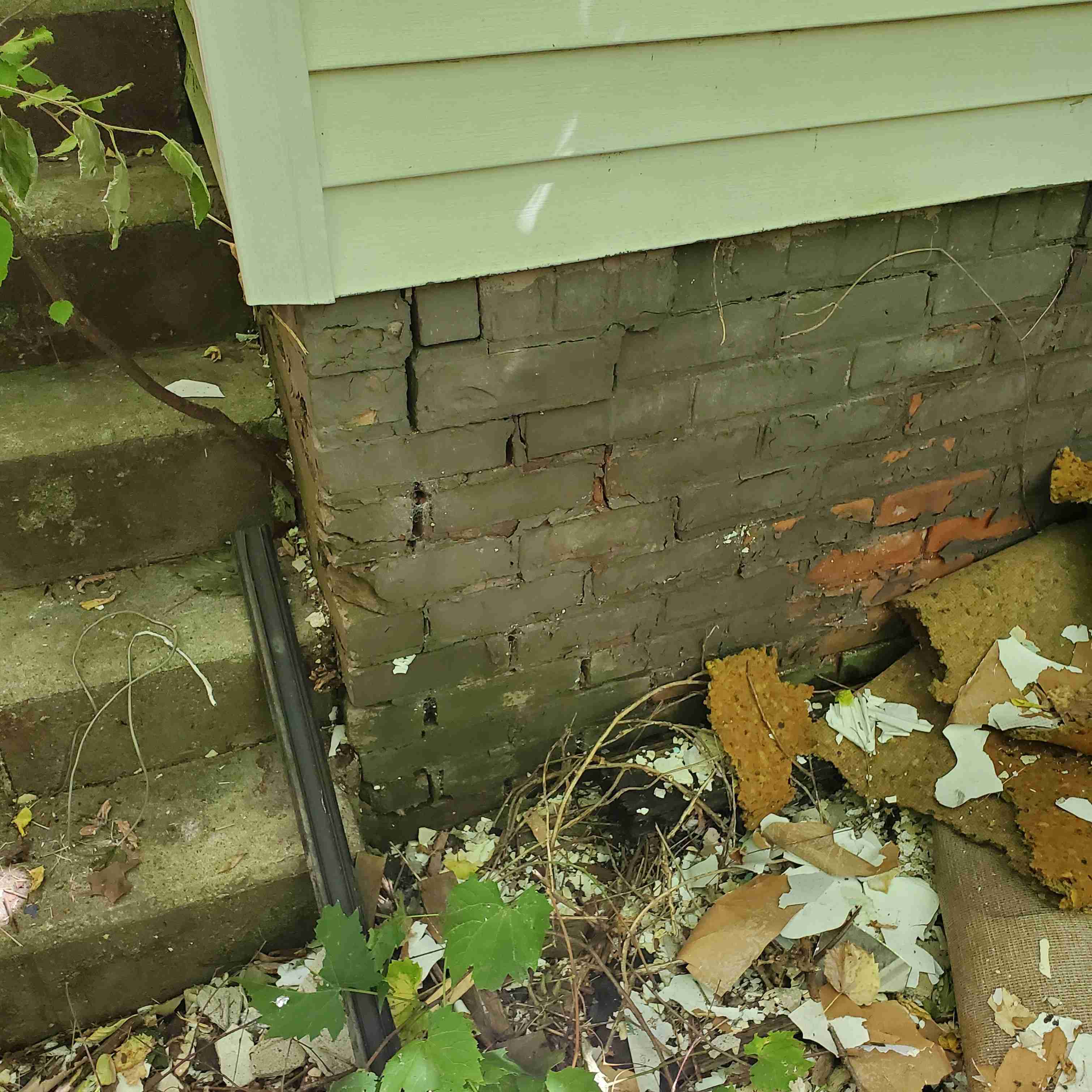 20200819_142708 (2).jpg